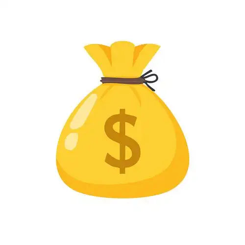 For Customs Order and Shipping cost